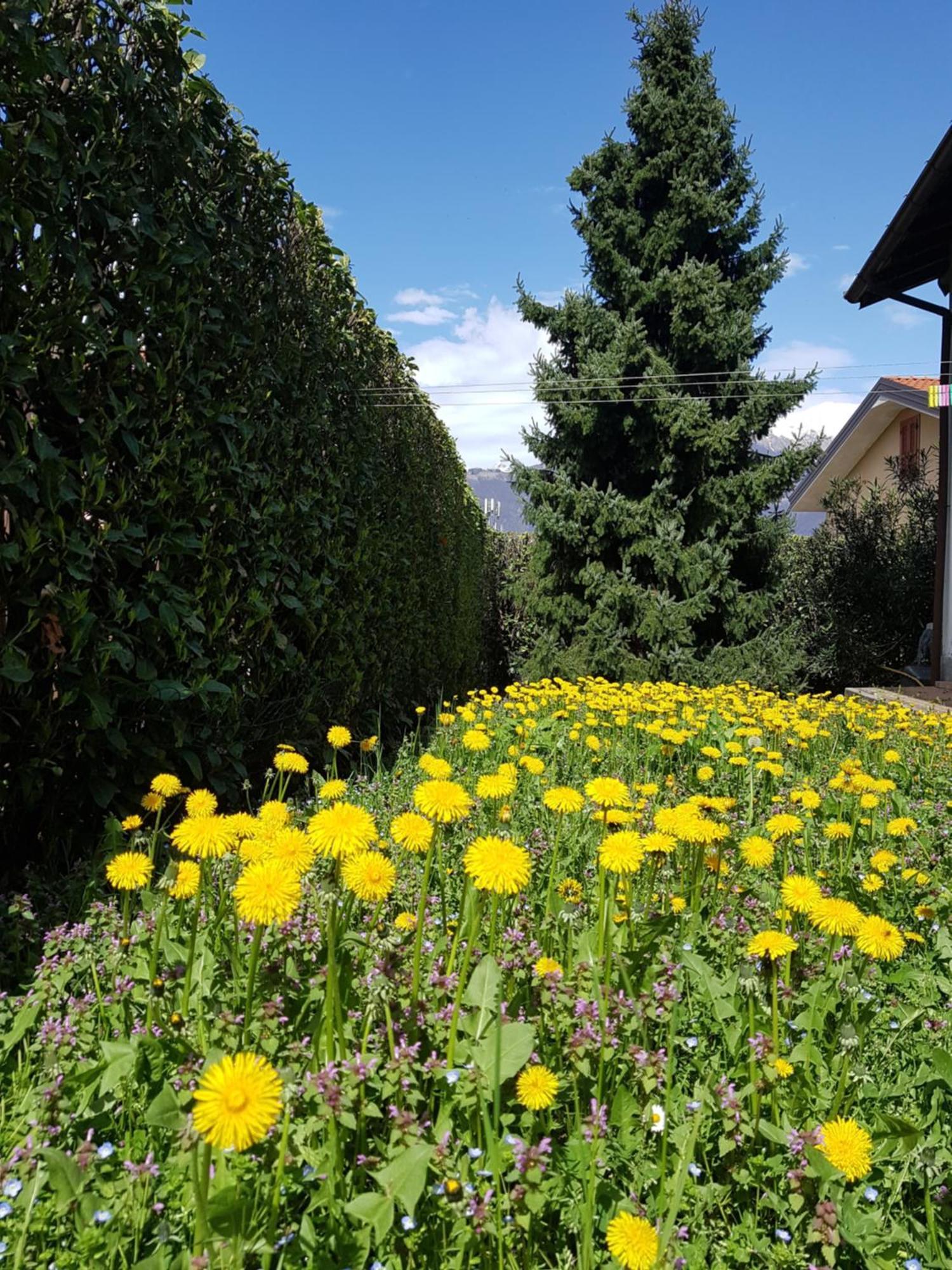 Villa Iris -Pet Friendly Stay - Garden - Private Parking- Bike Friendly Holiday House Colico Dış mekan fotoğraf